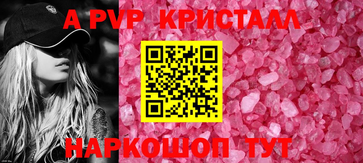 Alfa_PVP СК КРИС Малгобек