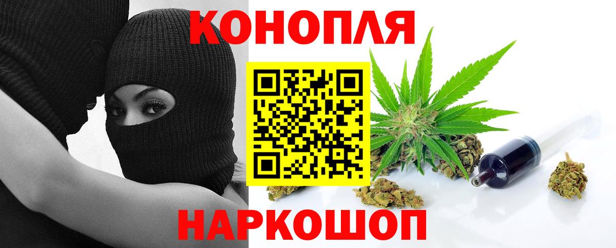 Каннабис планчик  Марихуана OG Kush  Вход с VPN  Малгобек  Бошки марихуана марихуана 