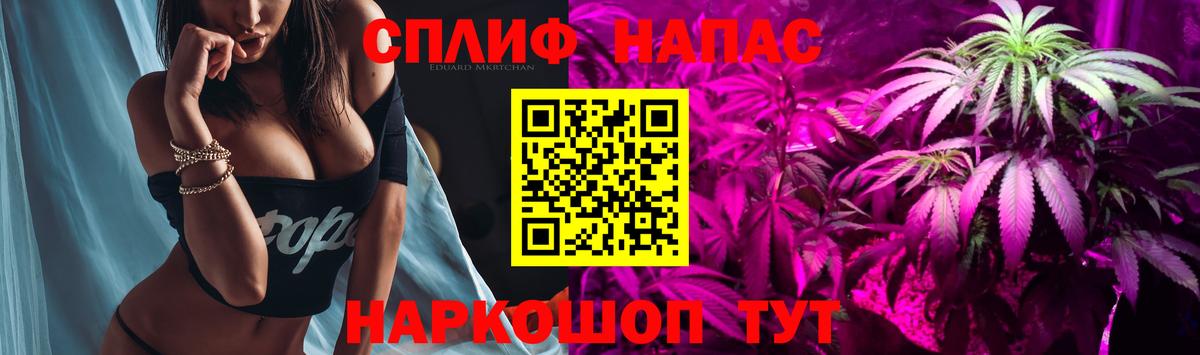 Бошки Шишки марихуана Малгобек